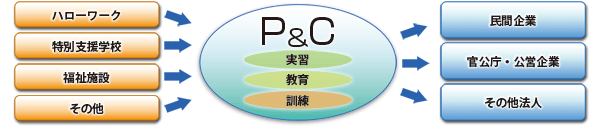 P&Cの活動イメージ図